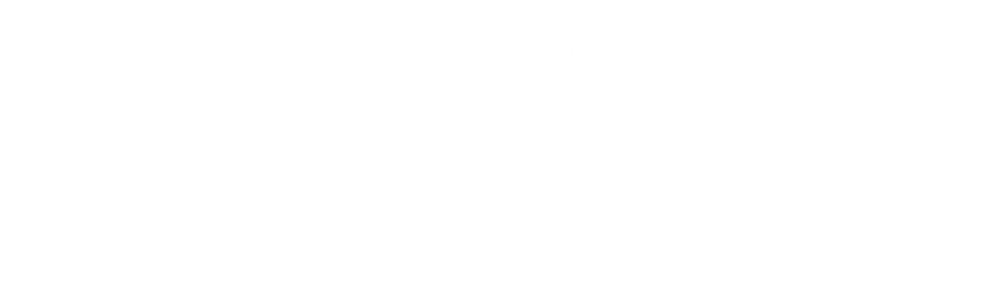 VIT Logo